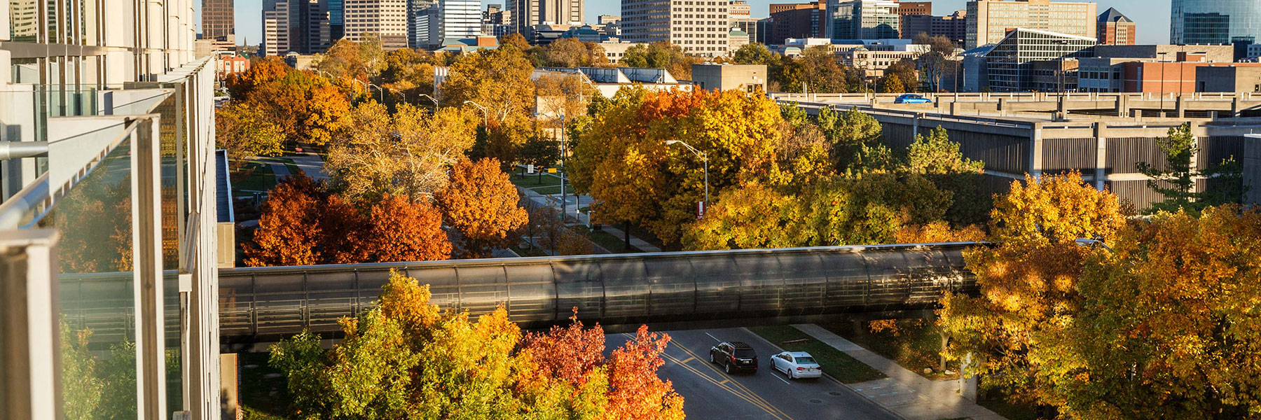 Fall leaves on IUPUI campus with skywalk and city in background